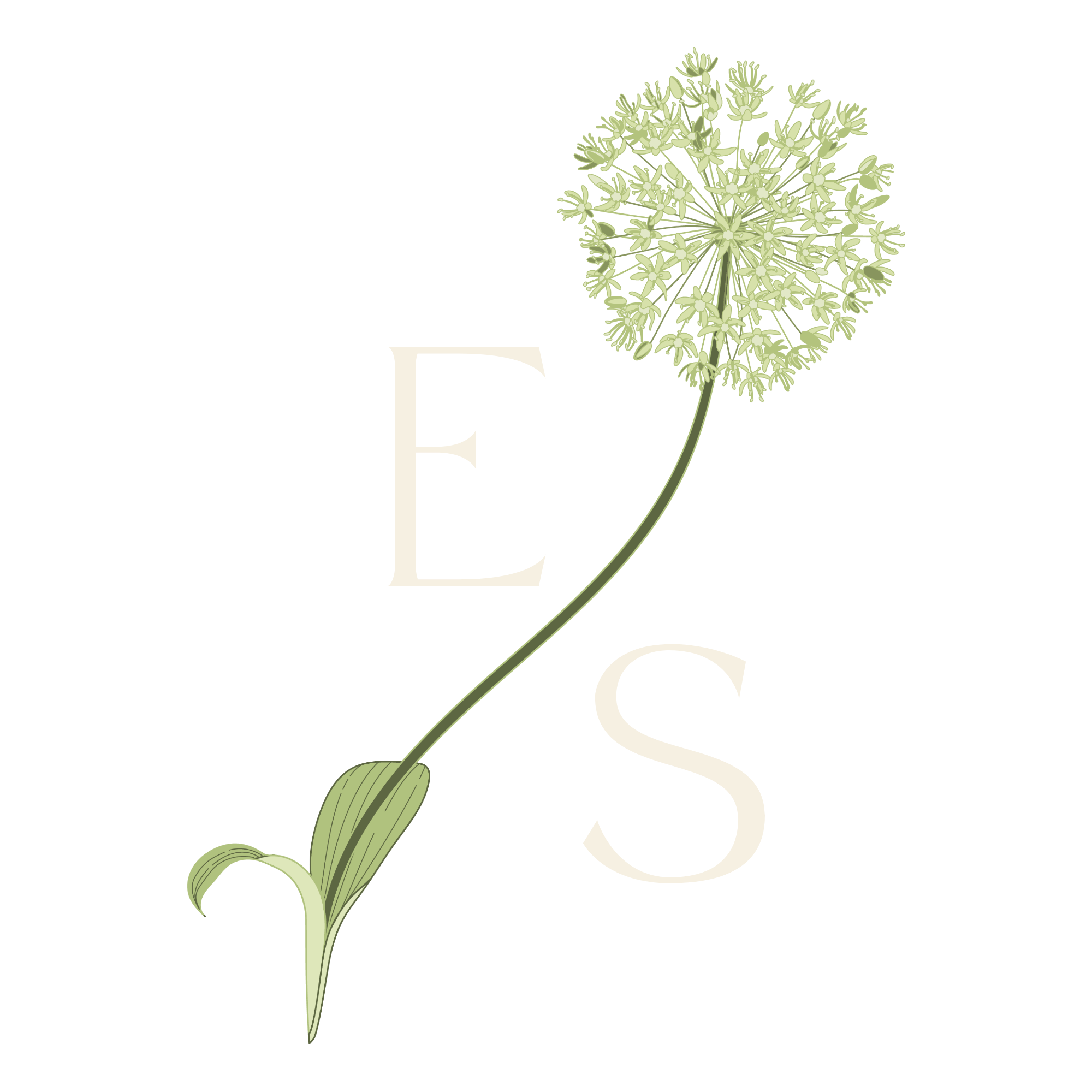 E and S monogram with an allium flower